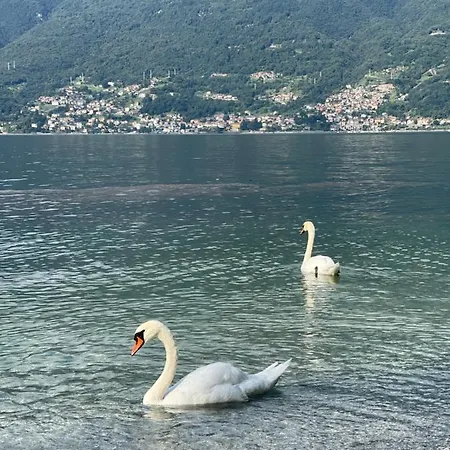 Casa Martina - Lake Como Apartment